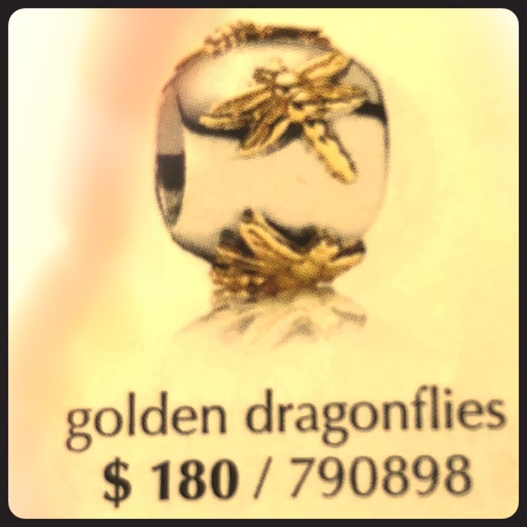 🧚🏽‍♂️🧚🏽‍♂️Pandora  Charm🧚🏽‍♂️🧚🏽‍♂️ - Picture 1 of 3